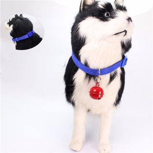 1PC Small Exquisite Pet dog Kitty Collar Exquisite -  Lovely Dealz 