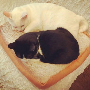 40*40CM Square Toast pet cat dog Cushion Sofa bed -  Lovely Dealz 