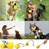 7/9CM Pet Dog Training Toy Ball Indestructible -  Lovely Dealz 